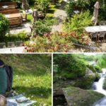 Bay.Wald Bay.Wald