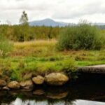 Bayerischer Wald Hochmoor Bayerischer Wald Hochmoor