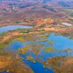 BotswanaOkovangoDelta BotswanaOkovangoDelta