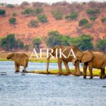 AfrikaTitel AfrikaTitel
