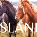 Island Island
