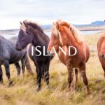 IslandTitel IslandTitel