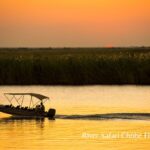 ChobeRiver ChobeRiver