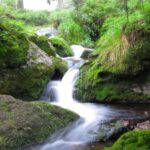 BayerischerWald2 BayerischerWald2