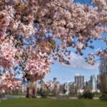 Vancouver Vancouver